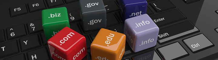 Hangi Uzantılarda Premium Domain Var?