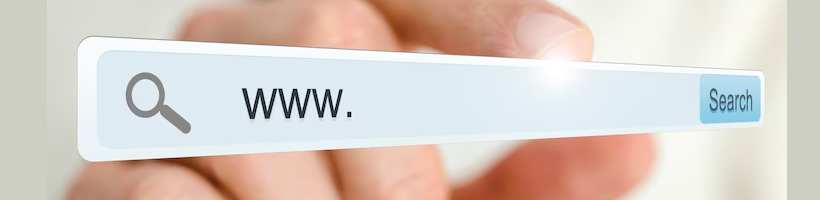 Wie Sie herausfinden, wem eine Domain gehört